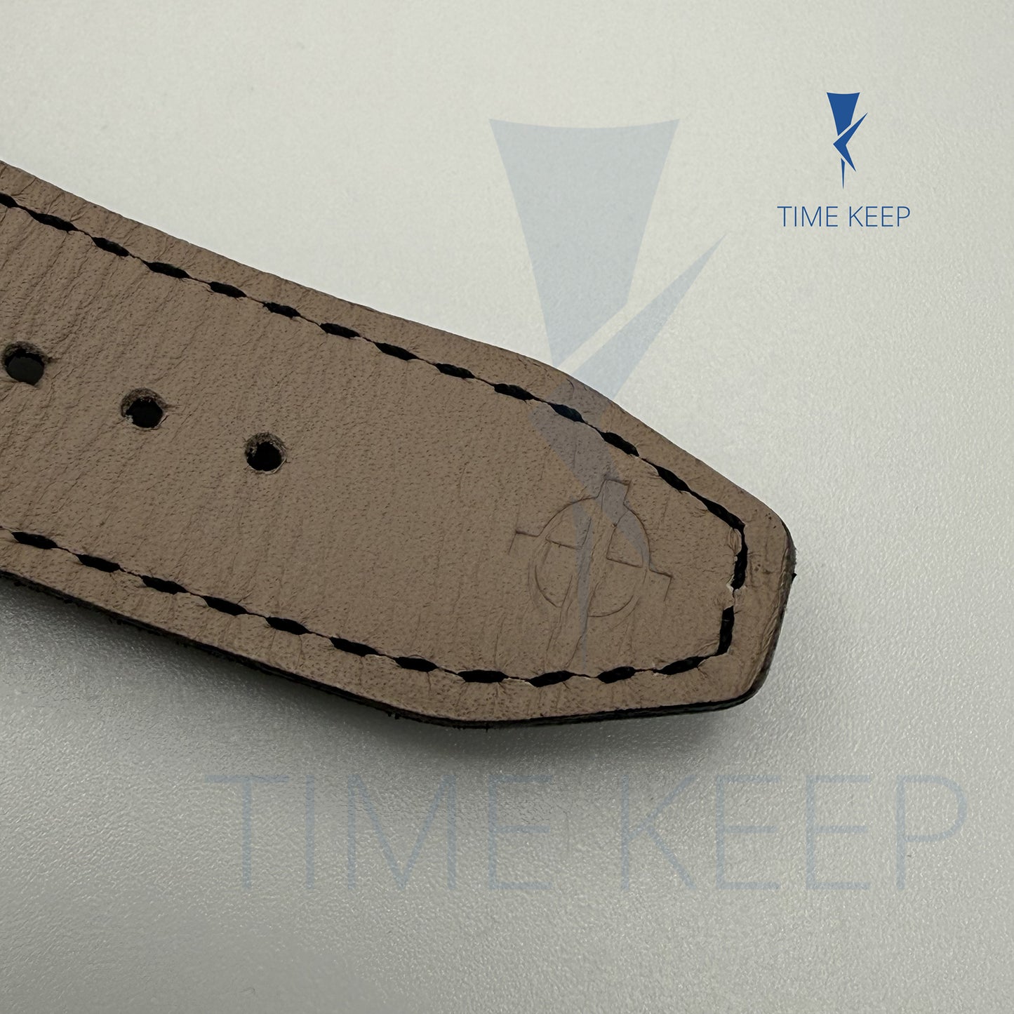 Zodiac Sea Wolf ZO9251